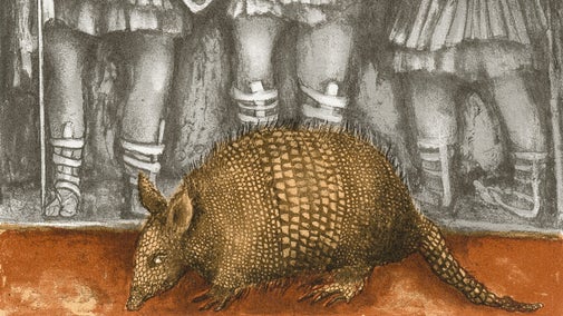 Image of an armadillo in front of an illustration of Roman soldiers